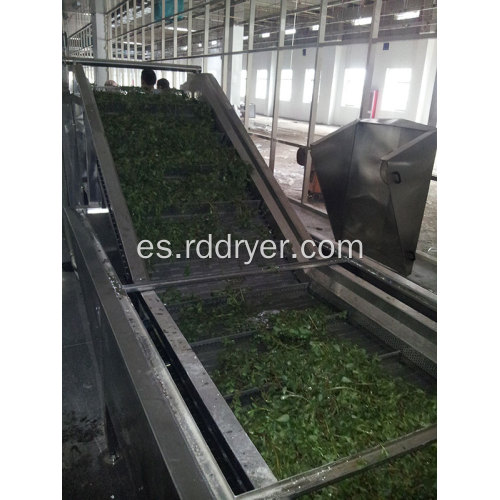 Conveyor Mesh Belt Dryer Proveedor